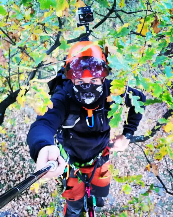 Pielęgnacja zieleni wysokiej | Dendrologia | Arborystyka | Kraków | Cennik