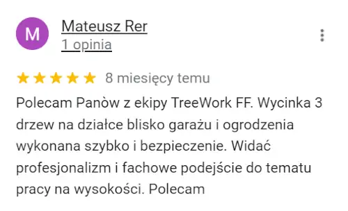 Wycinka Drzew Kraków | Alpinistyczna | Małopolska | opinia - Oferteo
