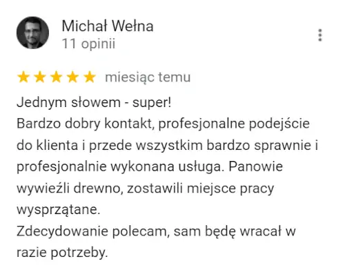 Wycinka Drzew Kraków opinia oferta