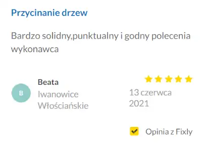 Wycinka Drzew Kraków | Alpinistyczna | review - fixly.pl