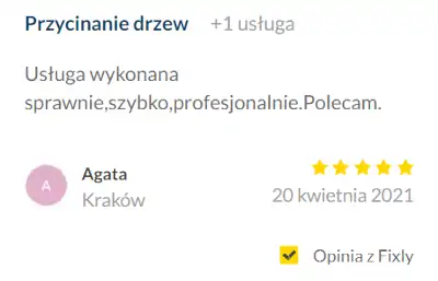 Wycinka Drzew | Alpinistyczna | Małopolska | reviews