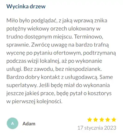 Wycinka Drzew Kraków | Alpinistyczna | Małopolska | opinia Google Mapy