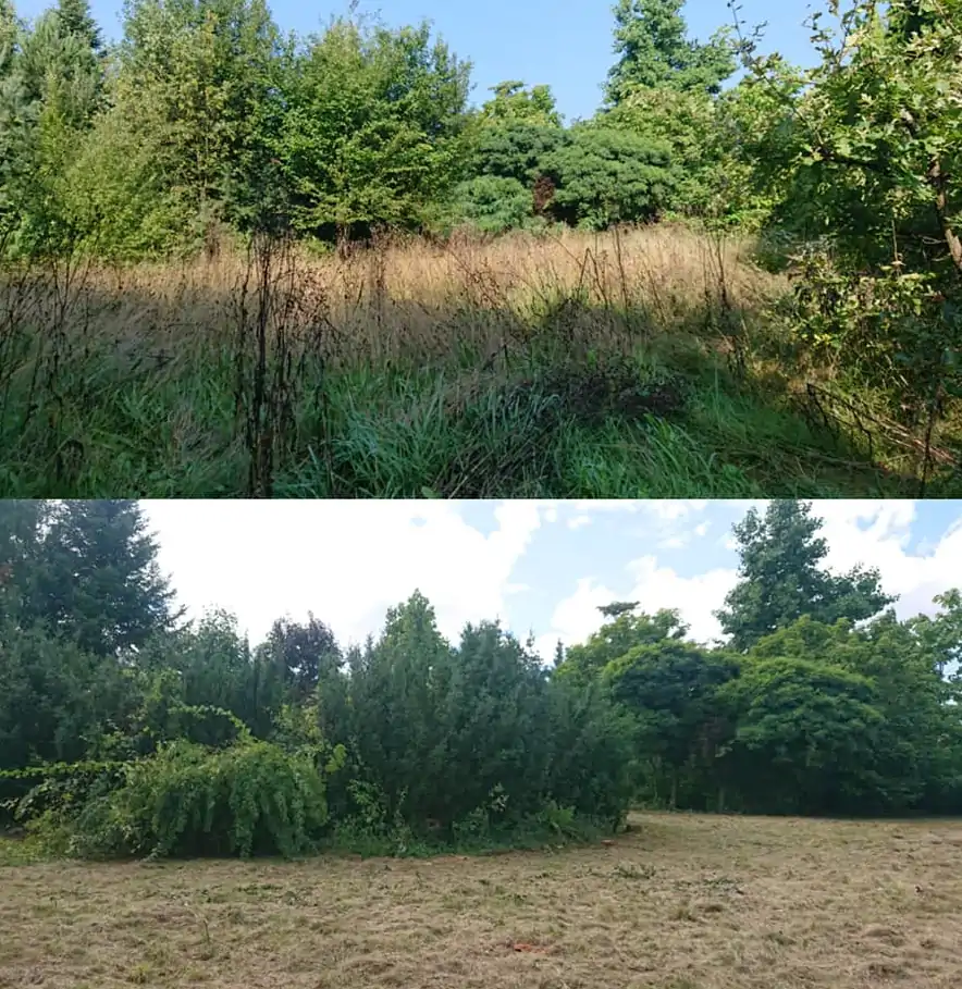 Pielęgnacja zieleni posesja działka krakow krzewy żywopłot