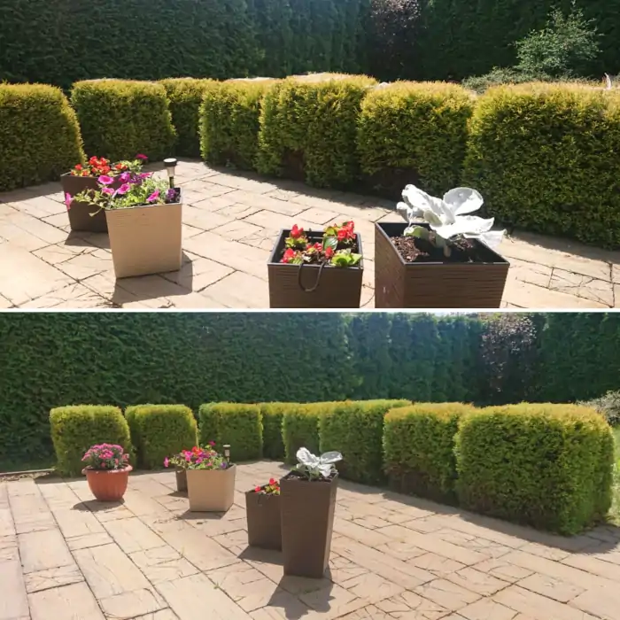 Pielęgnacja zieleni posesja działka krakow krzewy żywopłot