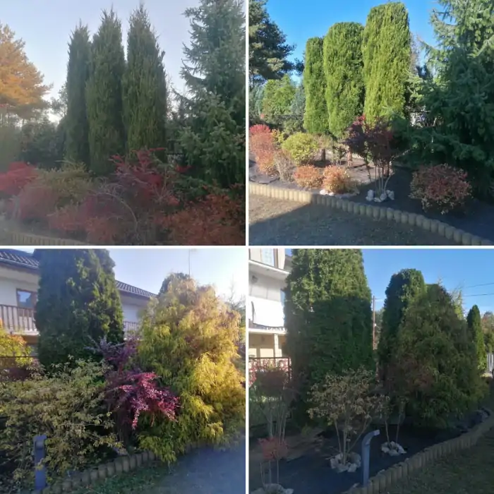 Pielęgnacja zieleni krzewów żywopłotów posesja malopolska