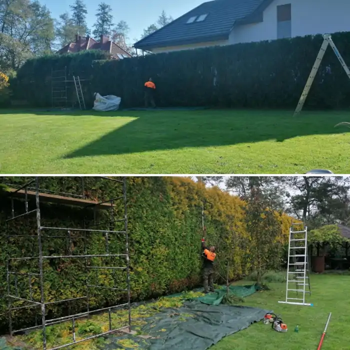 Pielęgnacja zieleni posesja działka krakow krzewy żywopłot