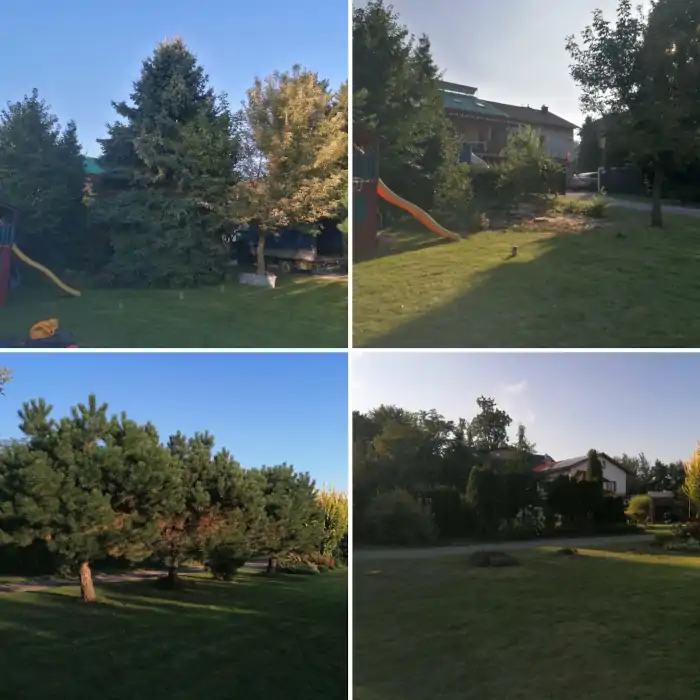 Pielęgnacja zieleni posesja działka krakow krzewy żywopłot