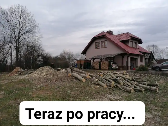 Dendrologicznie usługi arborystyczne dla klientów, firm i instytucji publicznych