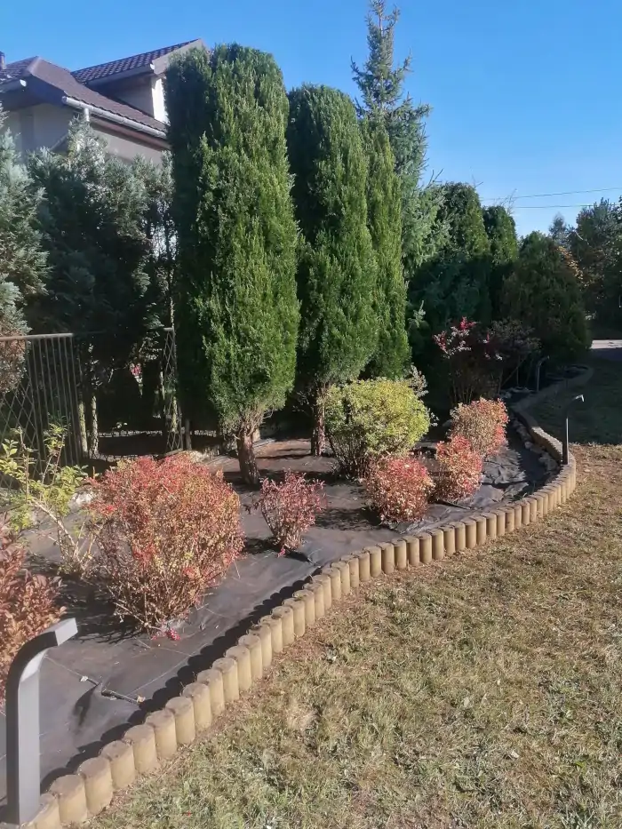 Pielęgnacja zieleni krzewów żywopłotów na działce w okolicach krakowa