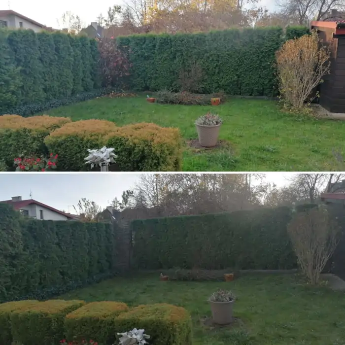 Pielęgnacja zieleni posesja działka krakow krzewy żywopłot