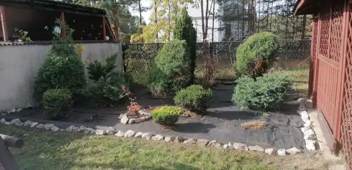 Pielęgnacja zieleni krzewów żywopłotów posesja działka Krakow